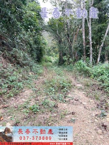 苗栗銅鑼農地-3