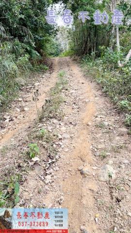 苗栗銅鑼農地-4