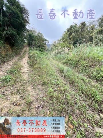 苗栗銅鑼農地-5