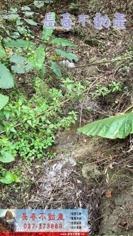 苗栗銅鑼農地-8