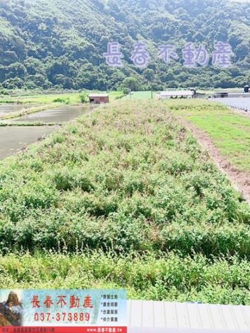 大湖農地-0