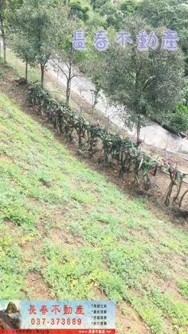 苗栗卓蘭農地-2