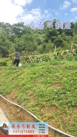 苗栗卓蘭農地-3