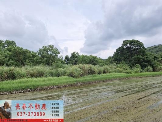 苗栗市農地-3