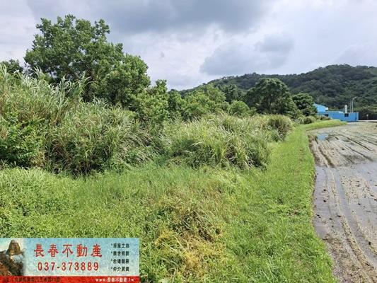 苗栗市農地-7