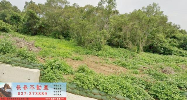 苗栗通霄農地-0