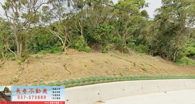 苗栗通霄農地-1