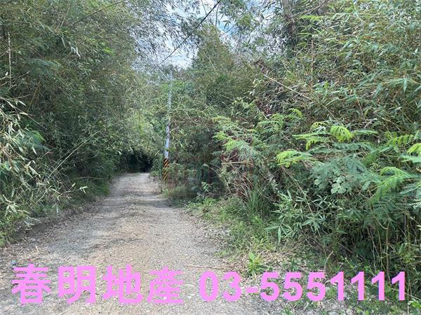 苗栗三灣農地-1