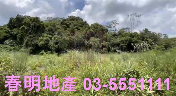 苗栗三灣農地-2