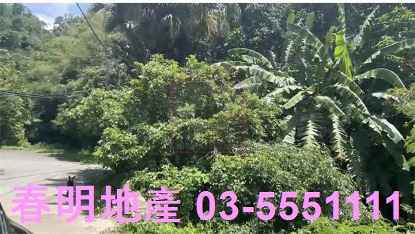 苗栗三灣農地-5