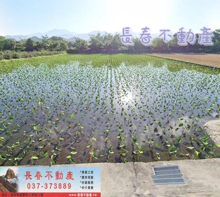 公館農地-0