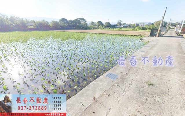 公館農地-1