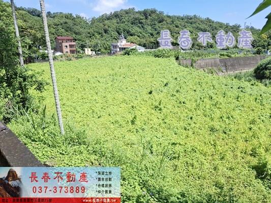 公館農地-0