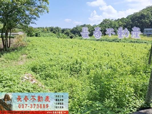 公館農地-1
