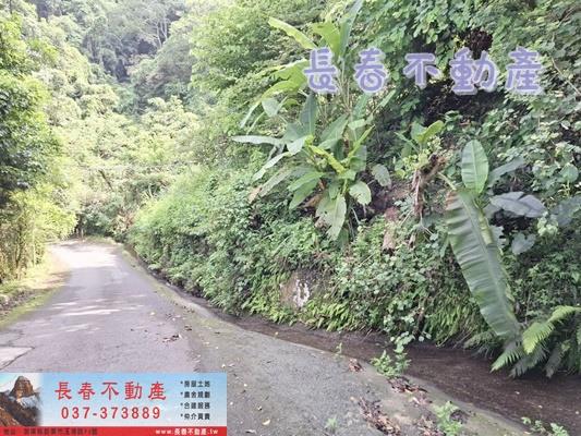 苗栗公館農地-5