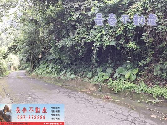 苗栗公館農地-7