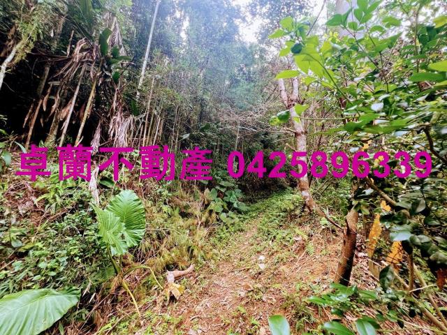 苗栗大湖農地-7