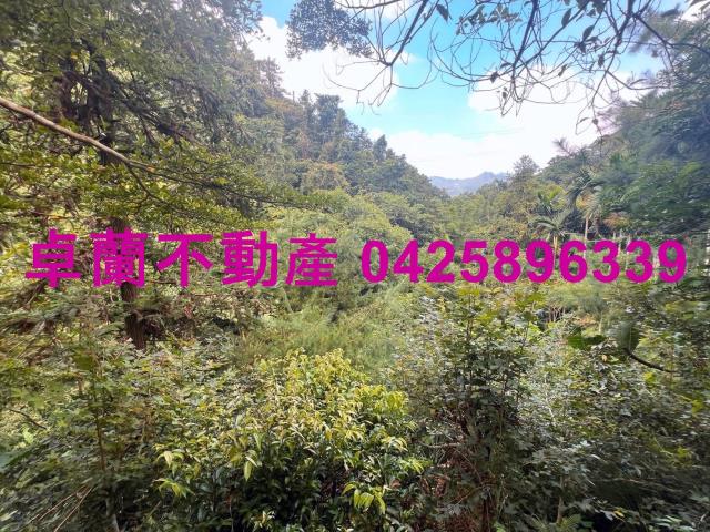 苗栗大湖農地-8