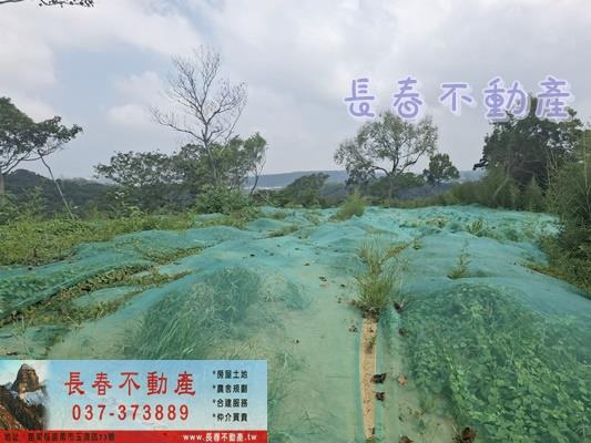 苗栗頭份農地-2