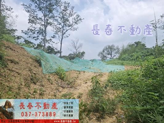 苗栗頭份農地-3