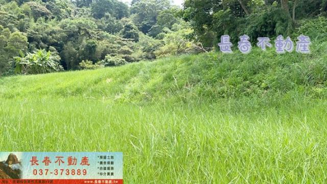 苗栗三灣農地-0
