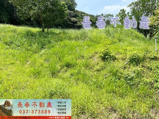 苗栗三灣農地-1