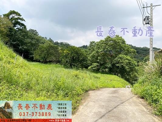 苗栗三灣農地-3