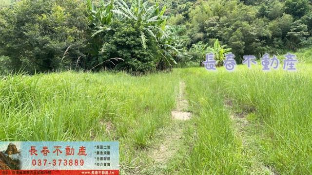 苗栗三灣農地-4