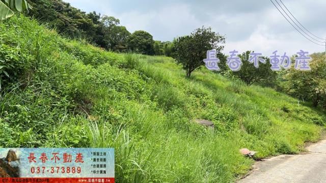 苗栗三灣農地-5