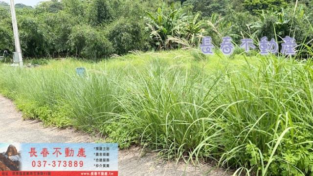 苗栗三灣農地-6