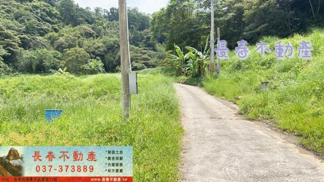 苗栗三灣農地-7