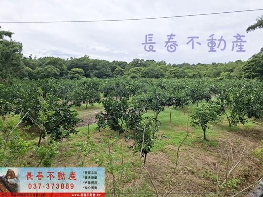 苗栗苗栗市農地-0