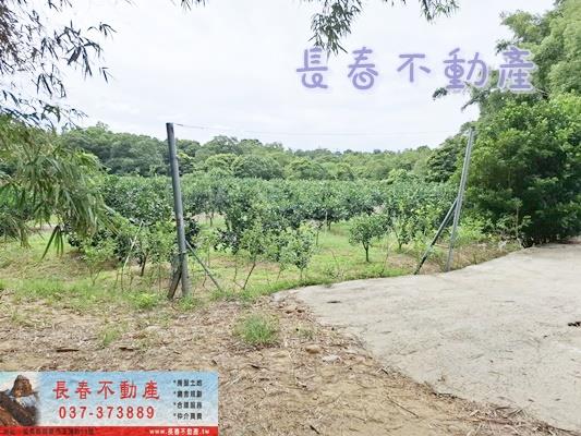 苗栗苗栗市農地-2