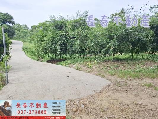 苗栗苗栗市農地-5