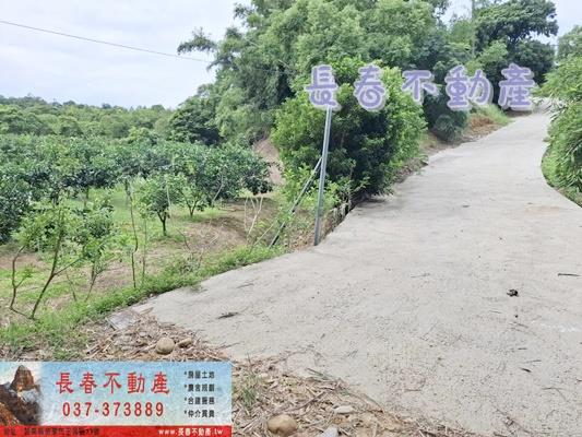 苗栗苗栗市農地-6