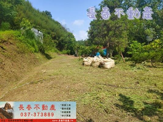 苗栗公館農地-0