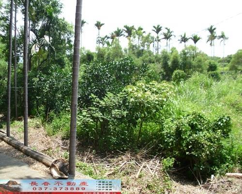 苗栗苗栗市農地-1