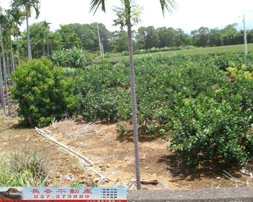 苗栗苗栗市農地-2