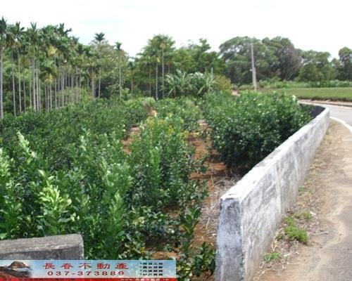 苗栗苗栗市農地-4