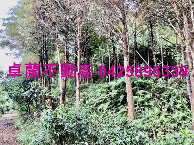 苗栗卓蘭農地-4