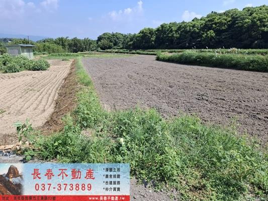 苗栗市農地-1
