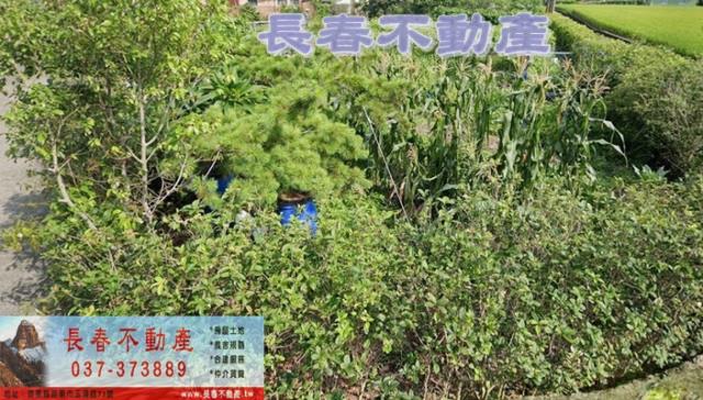 苗栗公館農地-0