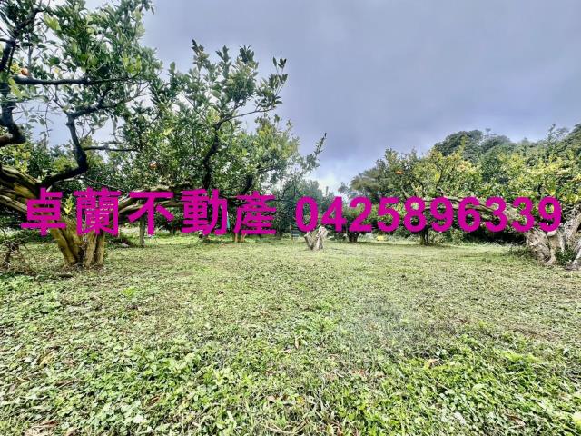 苗栗卓蘭農地-7