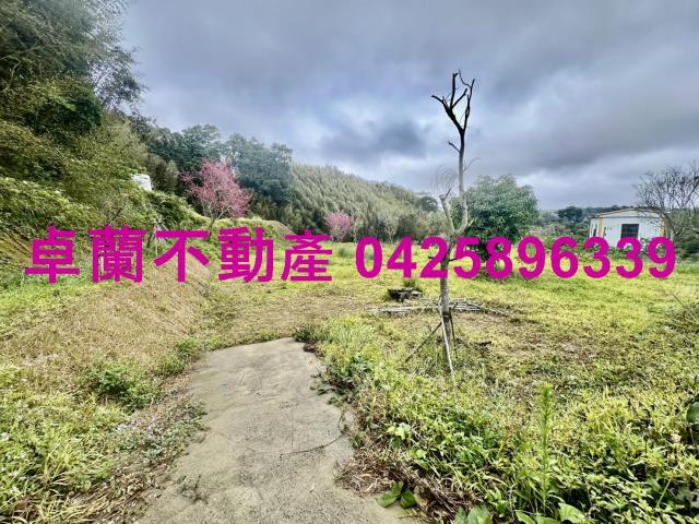 苗栗卓蘭農地-9