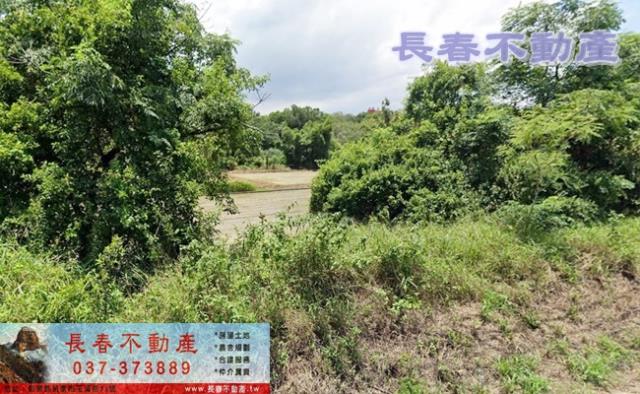 苗栗後龍農地-0