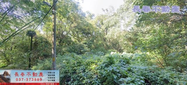 苗栗銅鑼農地-2