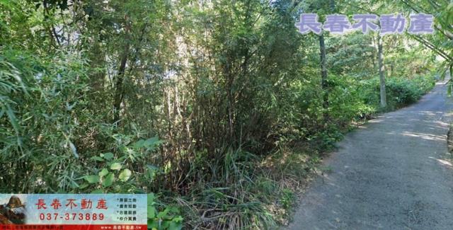 苗栗銅鑼農地-3