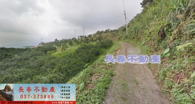 苗栗大湖農地-1