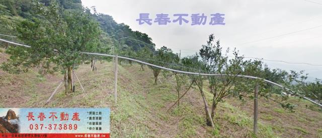 苗栗大湖農地-2