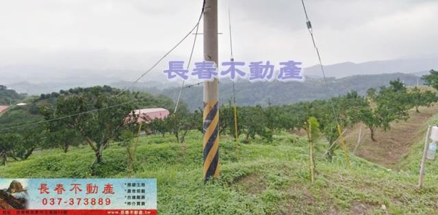 苗栗大湖農地-3